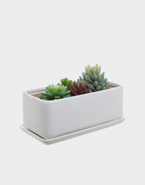 Minimal White Ceramic Succulent Planter