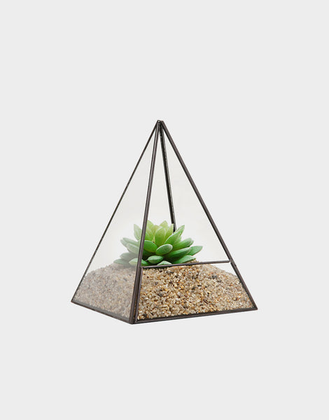 Glass Pyramid Terrarium